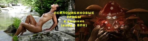 apvp Медногорск