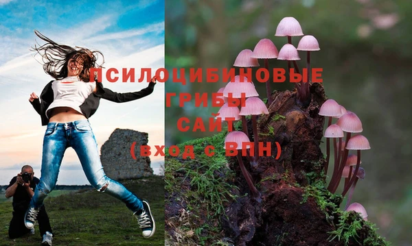 гашишное масло Медвежьегорск