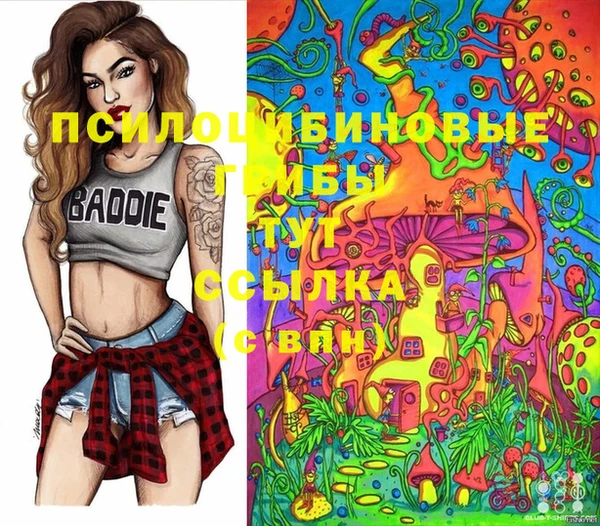 герыч Мегион