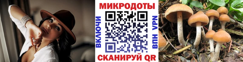 Псилоцибиновые грибы прущие грибы  где продают   Чудово 